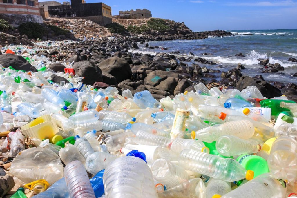 plastic pollution ielts task 2 essay