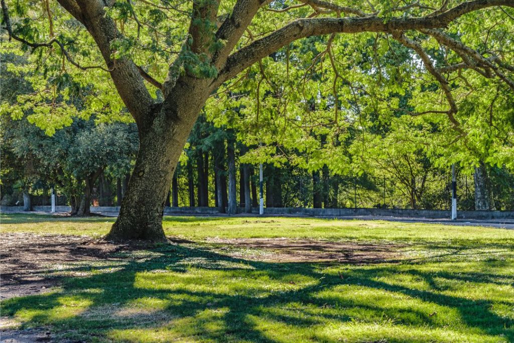 public park ielts task 2 essay